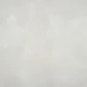 Futur gris argenté